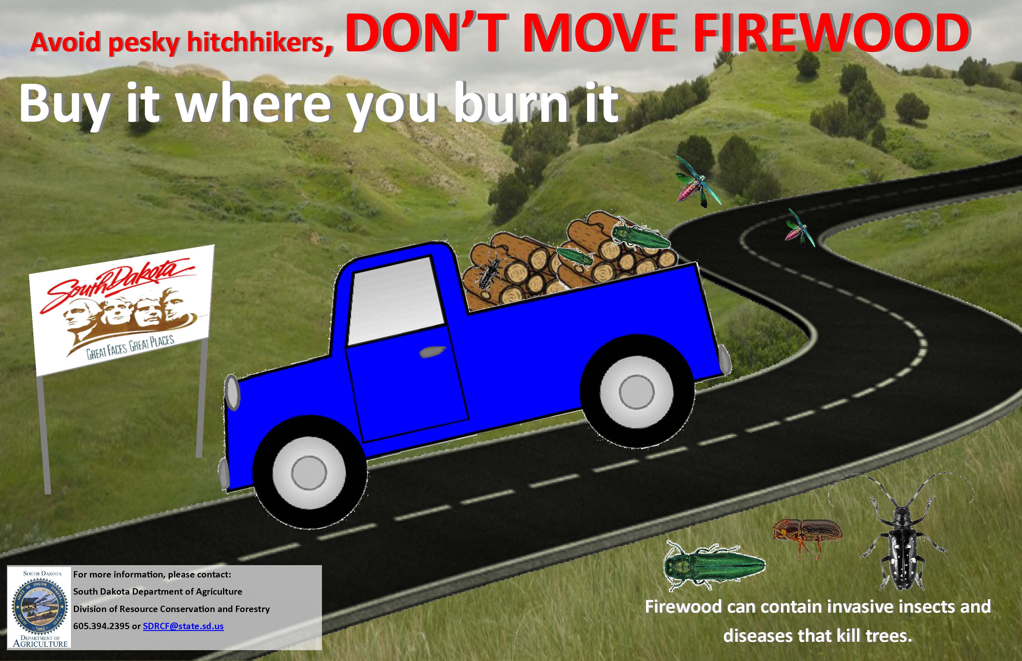 Don't Move Firewood Poster